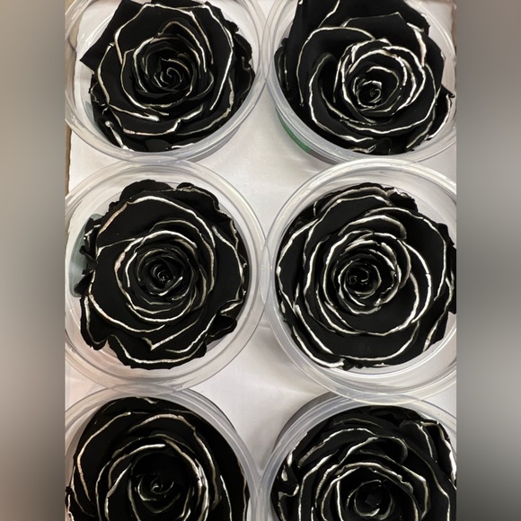 NIB Preserved Rose - Picture 4 of 9